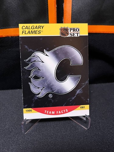 Calgary flames 1990 91 pro - calgary, #