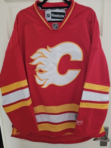 Calgary flames 2010 - calgary, 2010-11