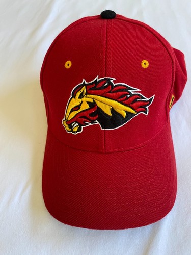 Zephyr cap nhl calgary - /, /