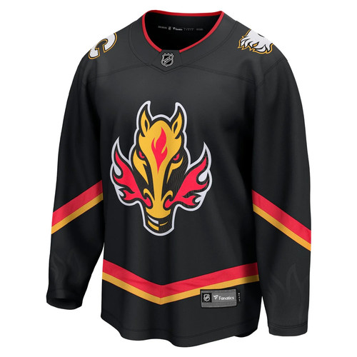 Calgary flames nhl - calgary, eishockey